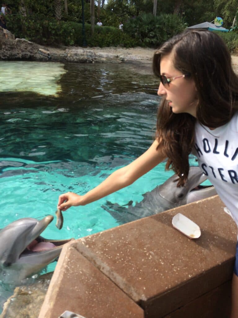 jovem garota de cabelos longos e óculos de sol, alimenta um golfinho com um peixe no parque de diversões SeaWorld Orlando