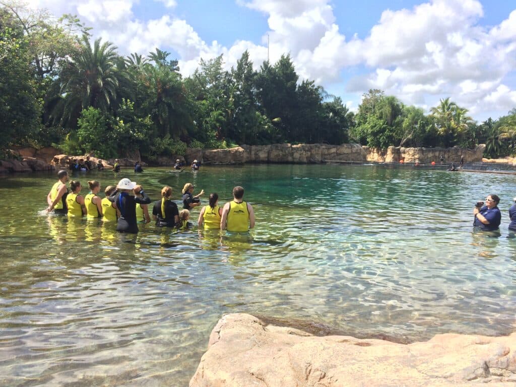 Foto do lago no parque Discovery Cove, onde várias pessoas vestem um colete amarelo e estão alinhadas uma ao lado da outra recebendo instruções sobre nado com golfinhos de uma mulher que está mais a frente. No lado direito bem ao canto é possível ver também uma mulher preparada para registrar o momento com uma câmera filmadora em mãos e mais ao fundo há mais um grupo de pessoas que já está realizando o nado com os golfinhos.