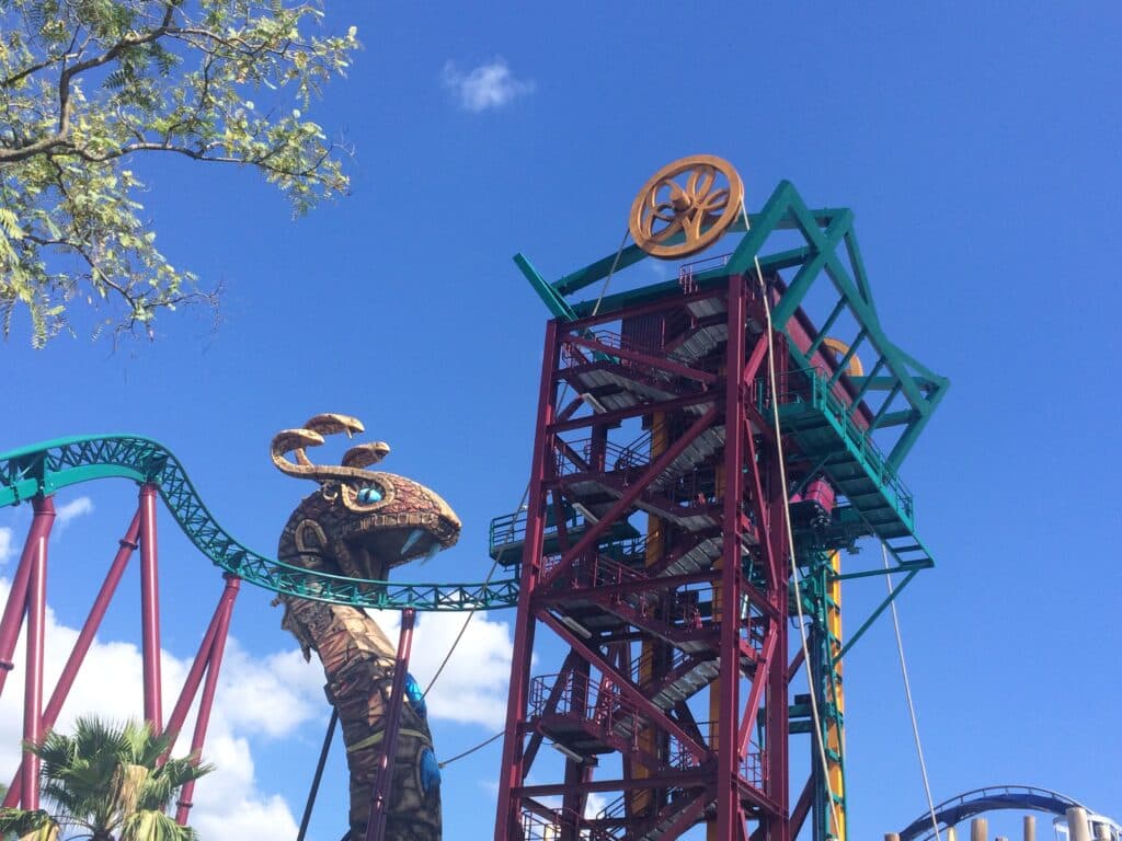 Foto da montanha Russa Cobra's Curse, onde é possível ver o elevador que leva o carrinho para cima diferente das montanhas russa convencionais que sobrem por trilhos, e também é possível ver a cobra símbolo da atração, os trilhos e um céu azul ao fundo no parque Busch Gardens Tampa Bay